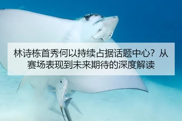 林诗栋首秀何以持续占据话题中心？从赛场表现到未来期待的深度解读